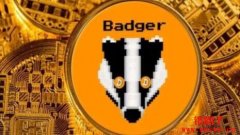 BADGER币在币安上市后价格飙升，涨幅逾90%