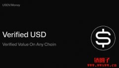 USDV是什么币？USDV币特点和优势详解