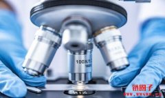 生命科学投资：精选5只小型生物科技