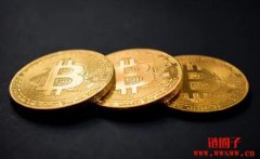 币币情：一个专业的数字货币资讯平