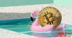比特币太耗水！每笔交易要用掉一个