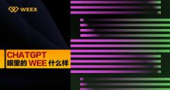 WEEX交易所让AI写了一篇平台介绍，然后就把方案开除了！