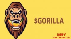 GORILLA是什么币?Gorilla币价格走势以及未来前景分析?