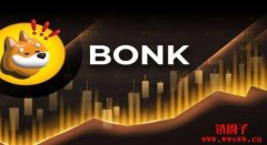 BONK币价格30天内上涨1200%，原因有哪些？
