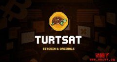 TurtSat(TURT币)是什么?TURT币价格预测及前景分析