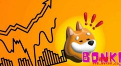 Solana迷因币Bonk单月上涨370%，超越Pepe币成第三大迷因币