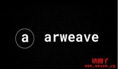 Irys 考虑分叉 Arweave，并不再维护数据