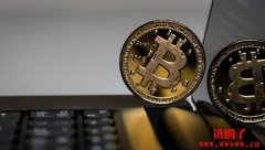 CryptoQuant：比特币在本轮周期顶峰可能