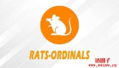 RATS币是什么？RATS币价格走势以及未来