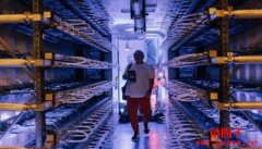 比特币矿企有哪些？2023年上市矿企涨