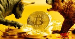 非比特币族群上演补涨行情，加密牛