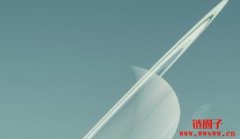 木头姐预测比特币价格将高达150万美