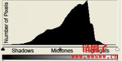 什么是 Histogram？Histogram 如何组成的