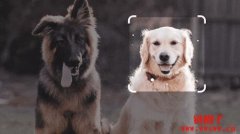 Google Bard使用教学，如何将Bard整合进