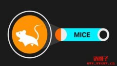 Mice是什么币?MICE币优缺点和未来前景分析