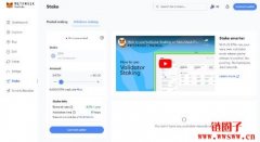 MetaMask推验证者质押功能使用教学