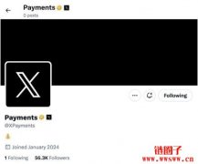 推特加速金融支付：推出XPayments官方