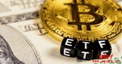 美9档比特币现货ETF吸金近40亿美元！