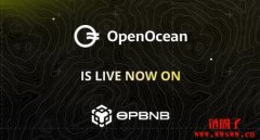 什么是 OpenOcean？OpenOcean 的手续费如何？