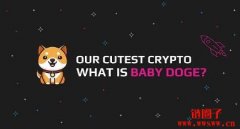BabyDogeSwap 是什么？