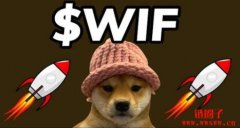 Dogwifhat币WIF是什么?WIF币价格走势及未来预测