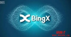 币安和BingX哪家更适合新手？哪家更适合交易合约