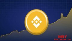 币安市占率已反弹至近50%，BNB价格能否突破340美元？
