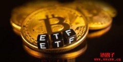 Ark 21Shares比特币ETF市值继续增长，跃