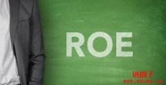 Roe是什么意思？如何计算？roe/roa/ro