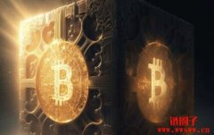 L2杂草丛生，《比特币杂志》对比特币