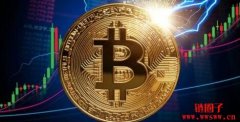 比特币狂喷9%攻上5.6万美元！下一步迈