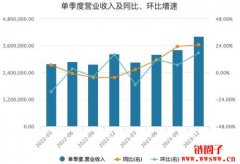 Meta季度/年度财报分析，2024年是否应择机买入？