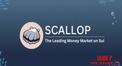 Scallop空投教学：SCA（Scallop）是什么？