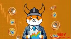 Floki币怎么买？如何购买Floki Inu (FLOKI) 分步指南