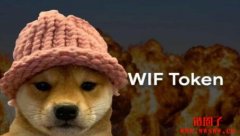 狗帽币WIF值得投资吗？怎么买？WIF币未来潜力如何？