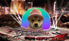 达成筹款目标!迷因币Dogwifhat将登上拉斯维加斯球形地标Sphere