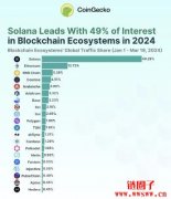 Solana登上2024年最受欢迎区块链，理由