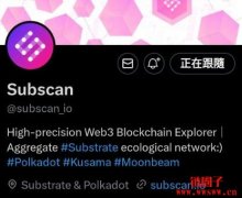 <b>波卡生态区块浏览器Subscan介绍与教学</b>