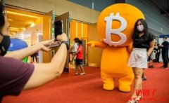 全球加密货币接受度调查：尼日利亚