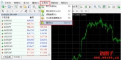 在电脑版MT4中设置只读密码的方法