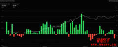 美比特币现货ETF昨净流出2.23亿美元，