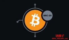 什么是BRC-20代币标准?BRC-20代币的优缺点分析