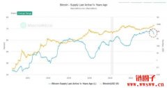 比特币持有者行为与2020年12月情况类