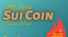 Sui是什么币？Sui币价格走势及未来前景分析
