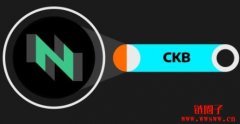 Nervos Network（CKB）：去中心化和灵活的新一代Layer 1区块链