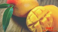 美法院判定Mango协议漏洞利用者Avraham Eisenberg犯下诈欺