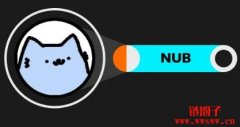 Nubcat（NUB币）：拥抱内在的菜鸟