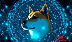 柴犬币团队完成1200万美元融资，将推