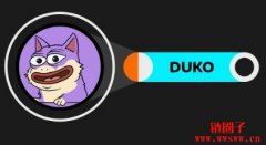 探索DukoCoin（DUKO币）：迷因、使命、