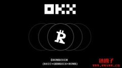 Runecoin是什么币？Runecoin币价格走势以